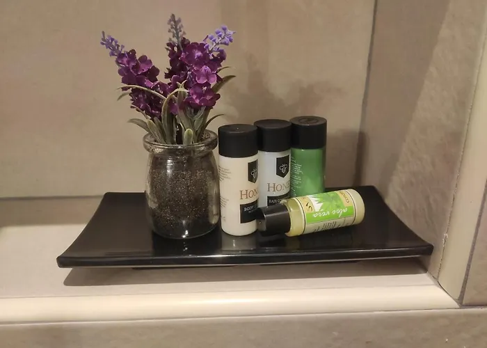 公寓 Aristea 萨尔蒂