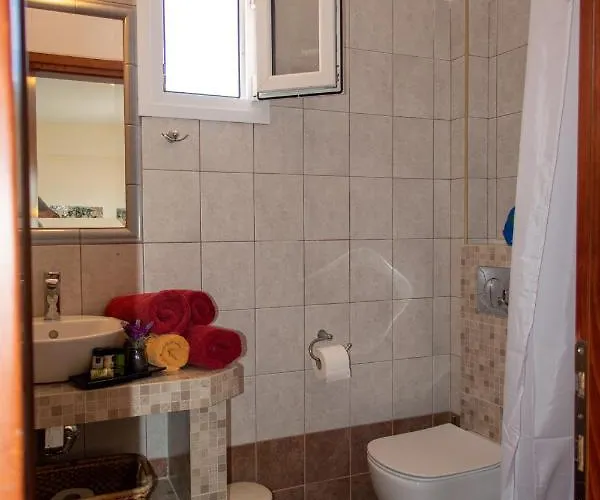 Aristea 公寓 萨尔蒂