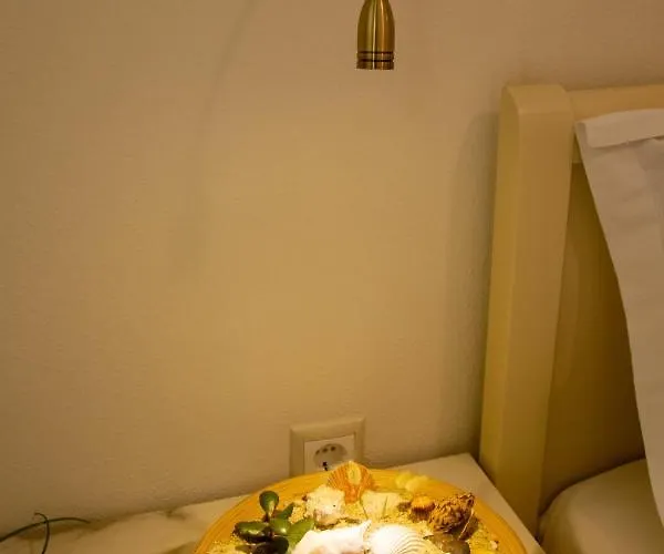 Aristea 公寓 萨尔蒂