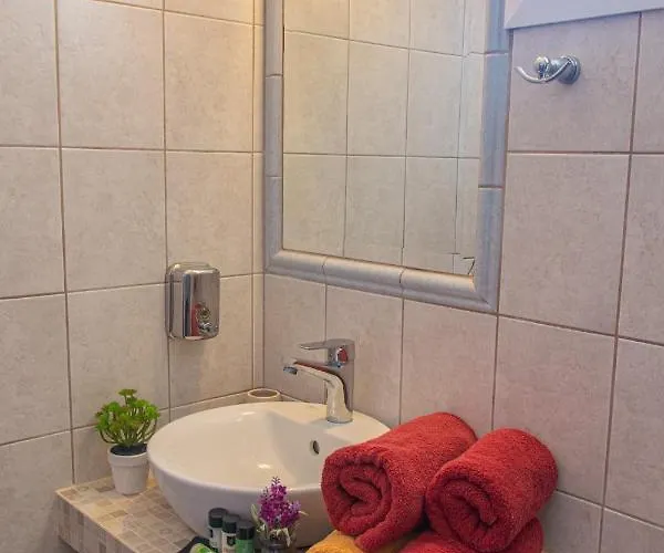 公寓 Aristea 萨尔蒂