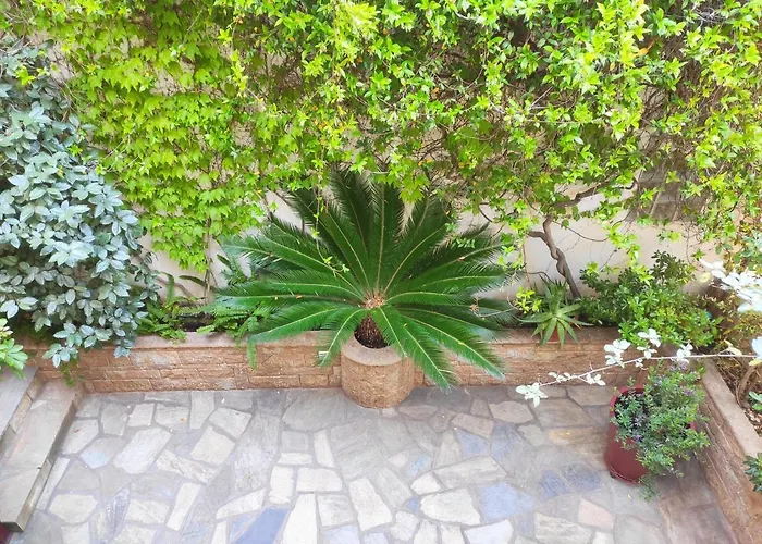 Aristea 公寓 萨尔蒂