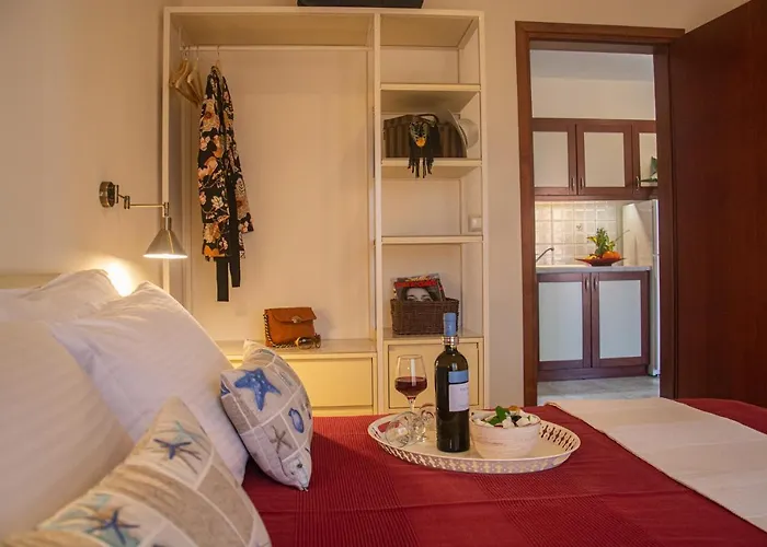 Aristea 公寓 萨尔蒂