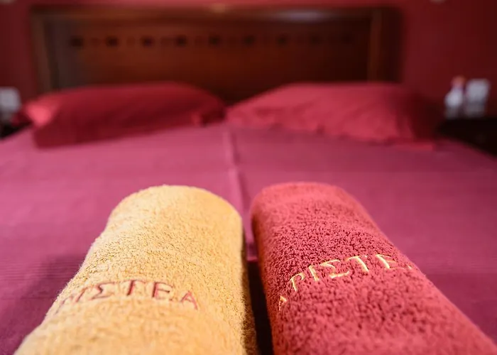 公寓 Aristea 萨尔蒂