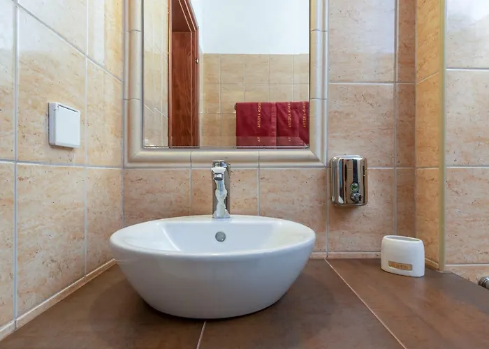 Aristea 公寓 萨尔蒂